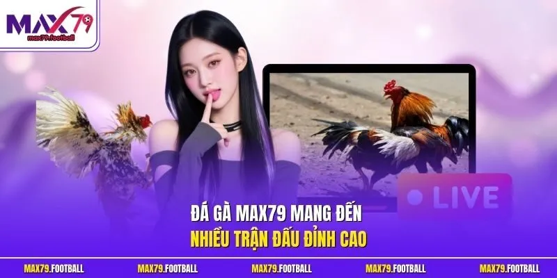 Đá gà MAX79 mang đến nhiều trận đấu đỉnh cao